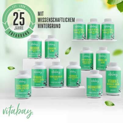 Vitabay Ginkgo Biloba 6000 mg Kapseln, A-Nr.: 5881181 - 06