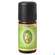 Sie sehen eine Packung Aetherische Oele Primavera Pfefferminze Bio 10ml, Produktbild: 01 Aetherische Oele Primavera Pfefferminze Bio 10ml, A-Nr.: 2583796 - 01