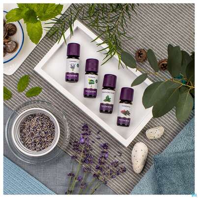 Taoasis Lavendelöl Fein, Bulgarien Bio 10ml, A-Nr.: 3496510 - 08