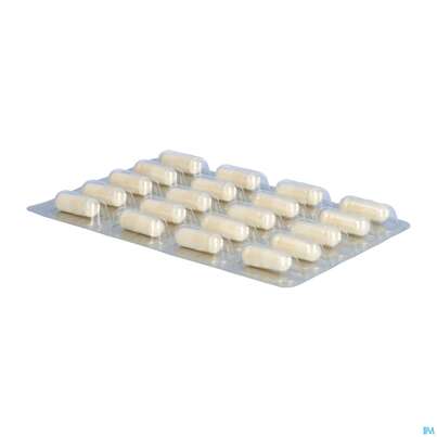 Sie sehen eine Packung Darmflora Plus Dr.wolz Select Kapseln Nr 60586 40st, Produktbild: 10 Darmflora Plus Dr.wolz Select Kapseln Nr 60586 40st, A-Nr.: 3839298 - 10