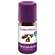 Taoasis Nelkenblütenöl Bio 5ml, A-Nr.: 5384548 - 02