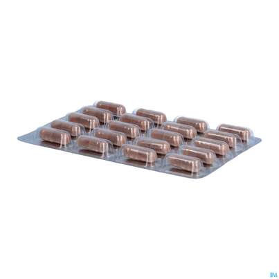 Sie sehen eine Packung Dr.wolz Cardio Care Kapseln 60567 60st, Produktbild: 08 Dr.wolz Cardio Care Kapseln 60567 60st, A-Nr.: 4782270 - 08