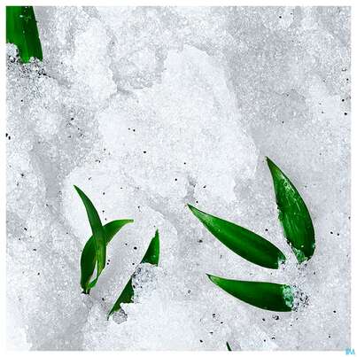 Sie sehen eine Packung Nuxe Reve/de The Koerper Peeling Scrub 150ml, Produktbild: 05 Nuxe Reve/de The Koerper Peeling Scrub 150ml, A-Nr.: 5479438 - 05