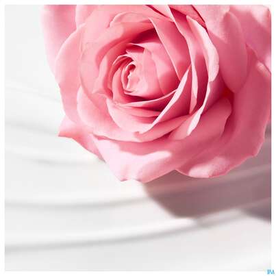 Sie sehen eine Packung Nuxe Very Rose Clean/milk Reinigungsmilch 200ml, Produktbild: 05 Nuxe Very Rose Clean/milk Reinigungsmilch 200ml, A-Nr.: 5301321 - 05