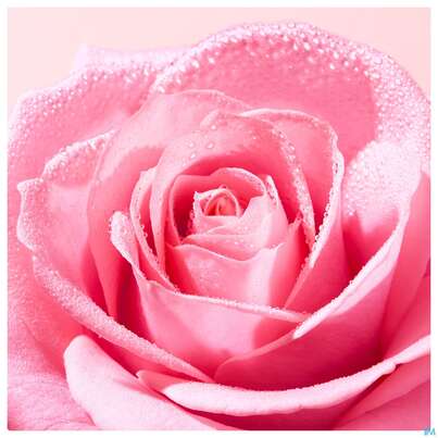 Sie sehen eine Packung Nuxe Very Rose Tonic Mist 200ml, Produktbild: 05 Nuxe Very Rose Tonic Mist 200ml, A-Nr.: 5301350 - 05