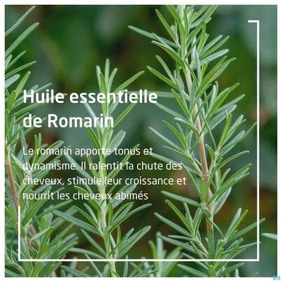 Sie sehen eine Packung Weleda Rosmarin Aktivierungsbad 200ml, Produktbild: 09 Weleda Rosmarin Aktivierungsbad 200ml, A-Nr.: 5034469 - 09